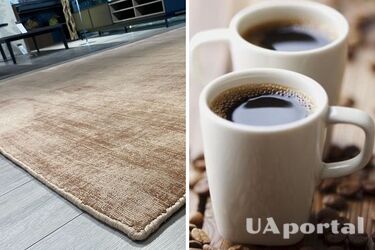 Снова как новый: рабочие методы чистки ковров от крови, шоколада, жира