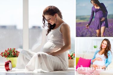 Named three zodiac signs that can get pregnant in 2023