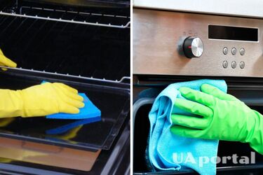 Чем и как вымыть духовку перед выпеканием пасок: простые способы