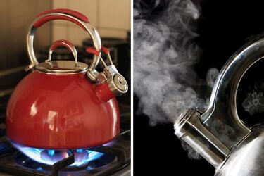 Money will bypass the house: Why it is better not to use a kettle with a whistle in the apartment