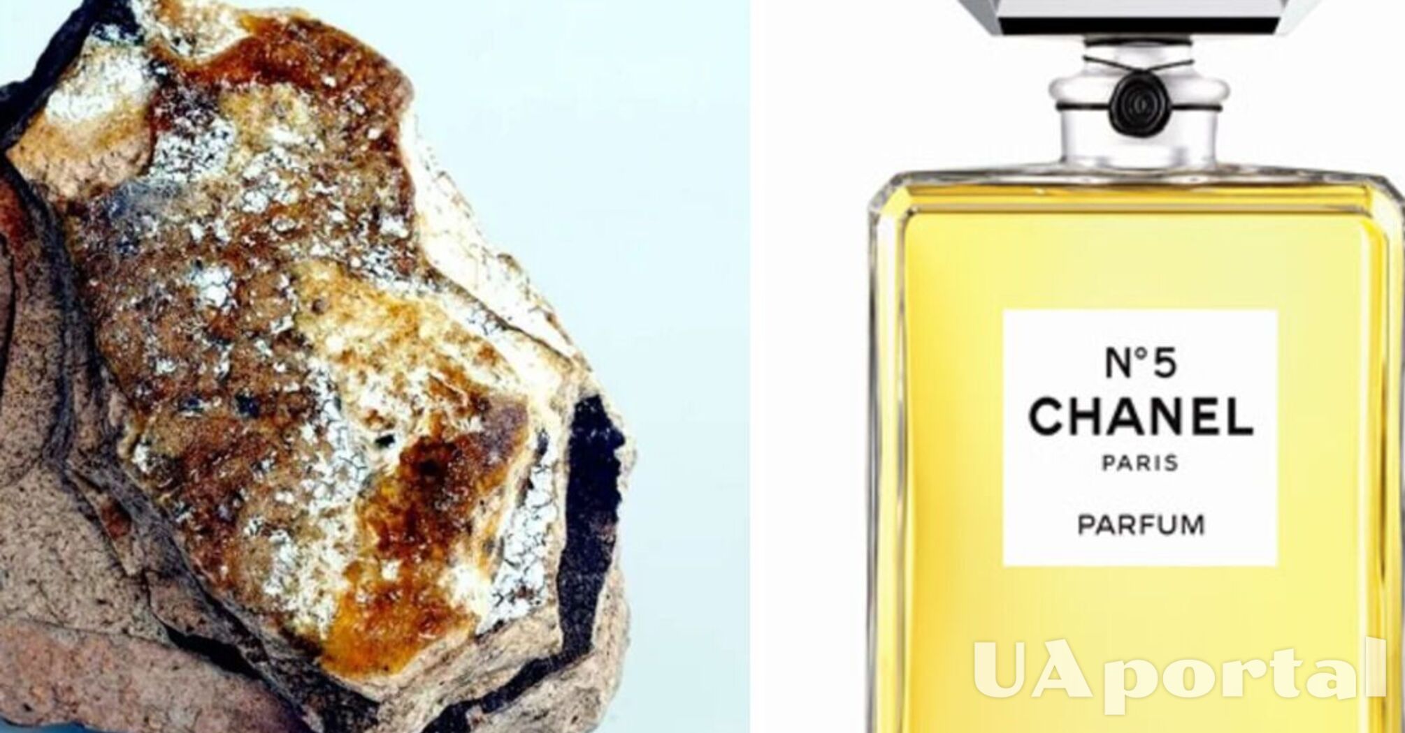 Chanel no 5 ambergris new arrivals