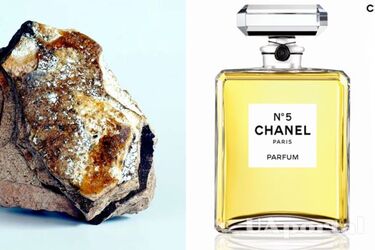 The main component of exclusive perfumes: where does 'floating gold' come from - ambergris