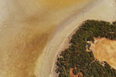 'Первое в мире крупномасштабное земледелие': в Израиле на песчаных дюнах нашли средневековую ферму