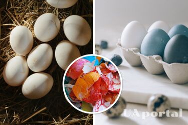 What to do with egg shells: why they don't throw them away