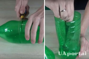 Як зробити пастку для комарів з пляшки та дріжджів