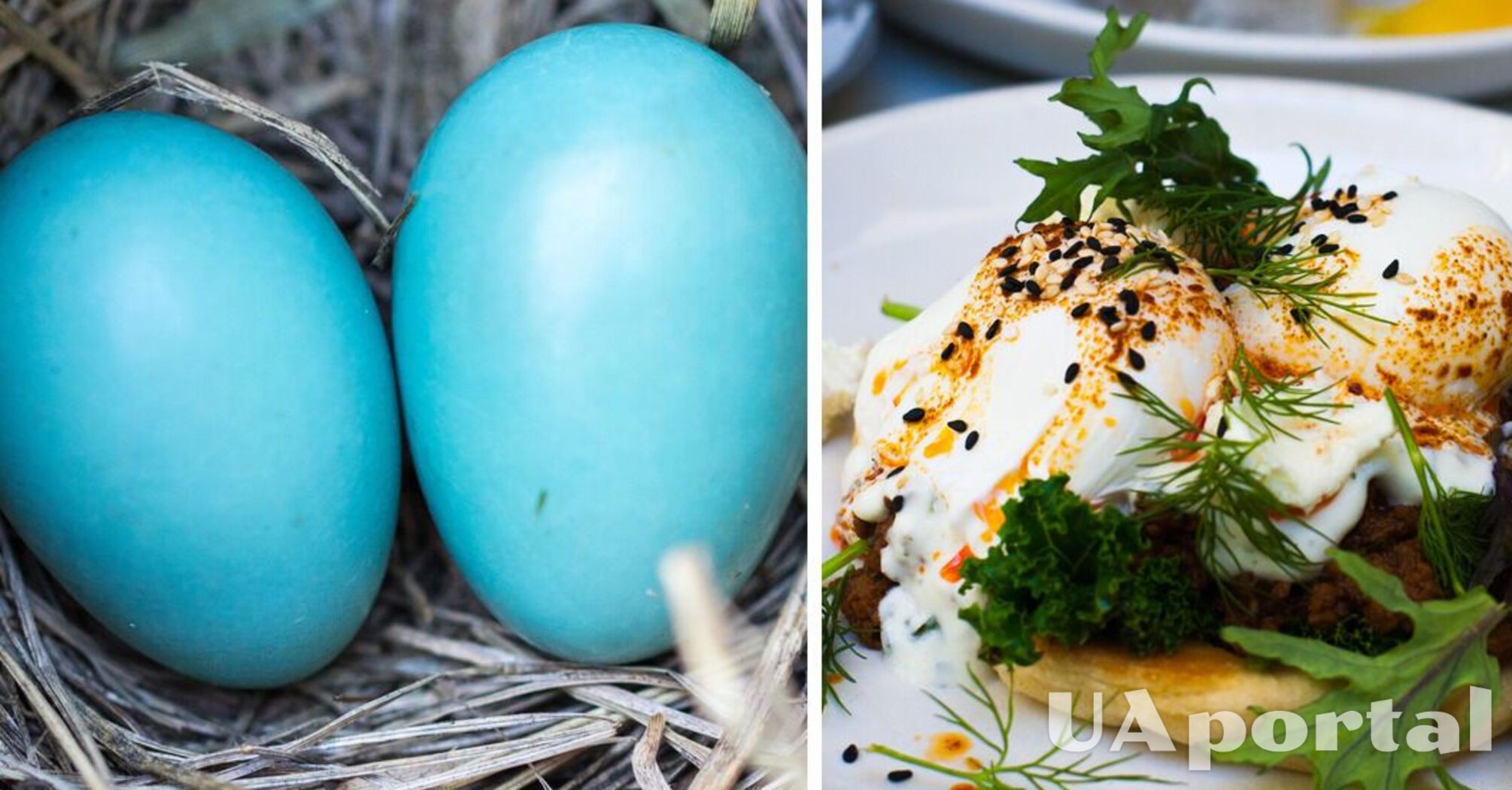 Що приготувати з яєць, які залишилися після Великодня: три кращі рецепти салатів