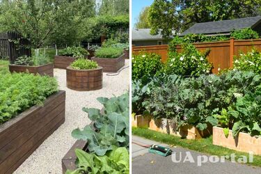 Как обустроить огород и сад, если на участке мало места