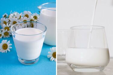Как проверить свежее ли молоко