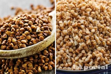 Tasty and crumbly: the secrets of making buckwheat porridge