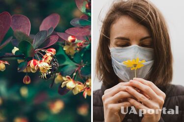Seasonal allergy: the Ministry of Health published a map of dangerous places in Ukraine that should be avoided