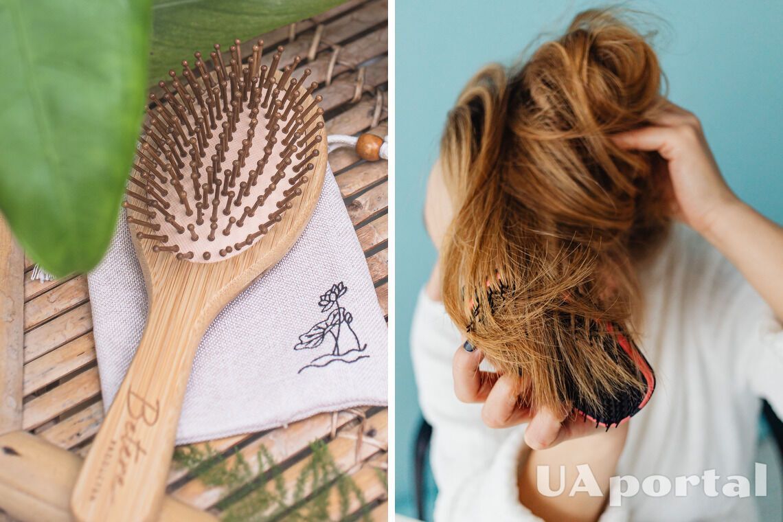 Never give your comb to others or use someone else's: this habit can ...