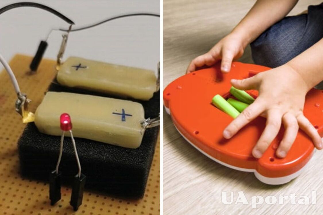 Вчені з їжі створили акумуляторну батарею, яка може розчинятися у шлунку: як виглядає