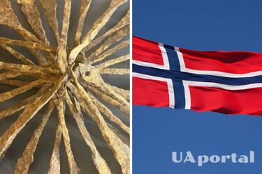 В Норвегии обнаружили редкие железные слитки времени викингов (фото)