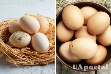 Як вимити брудні курячі яйця