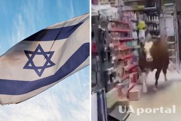 Корова увірвалася в магазин в Ізраїлі та влаштувала погром (відео)