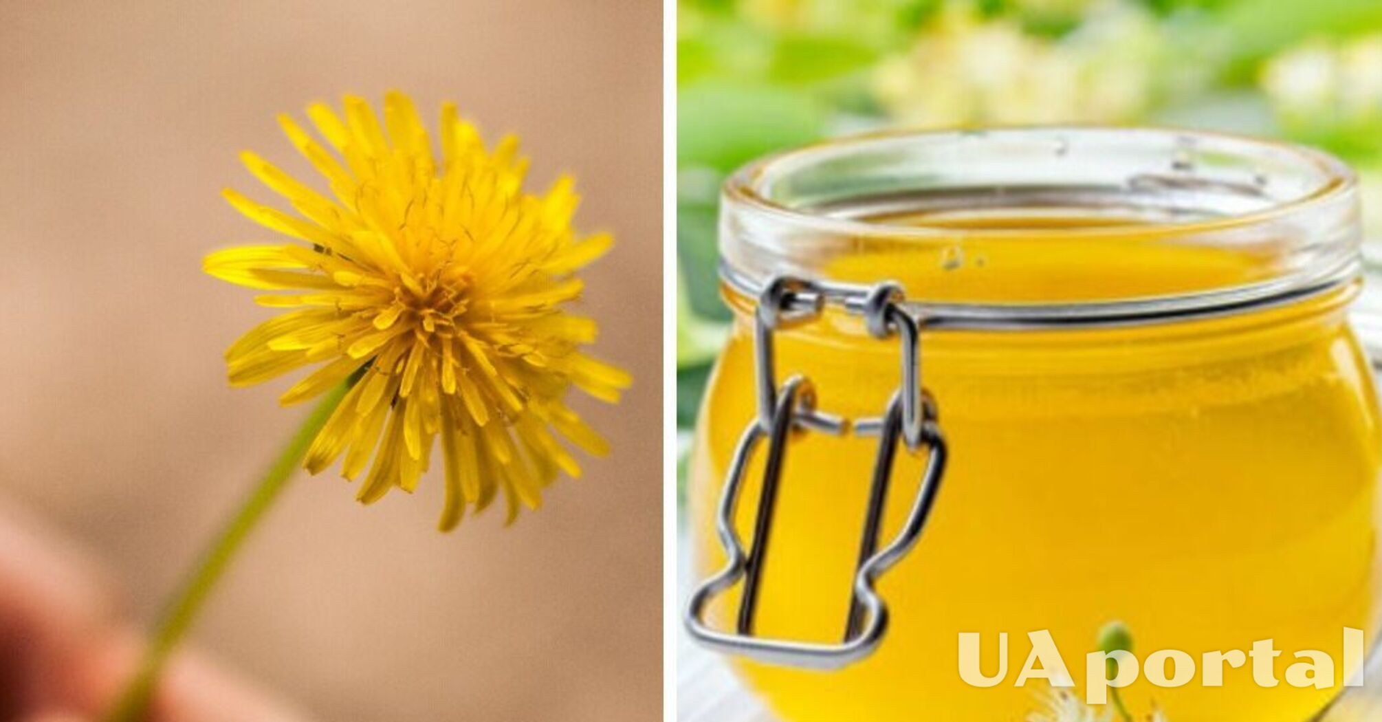Maximum benefit in one jar: how to make dandelion flower jam