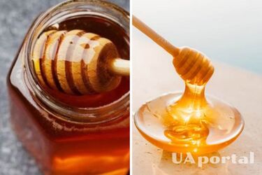No lumps and no foam: how to determine the naturalness of honey