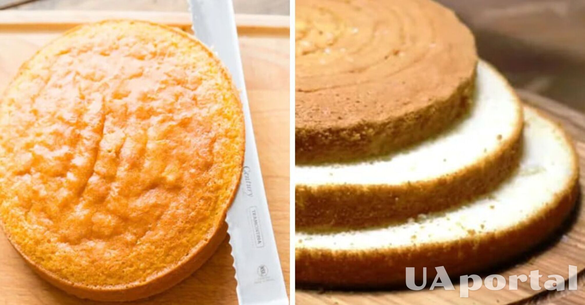 How to cut a sponge cake into perfectly even pieces: a life hack with a plate and a string