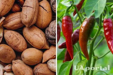 Орехи и чили: 6 продуктов, которые помогут похудеть
