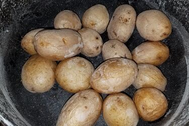 Варена картопля в гіпертонічному розчині