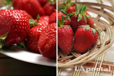 Danger from worms: why you should wash strawberries with soda and vinegar