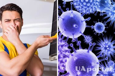 Рассадник грибков, бактерий и пыли: почему нужно регулярно чистить кондиционер