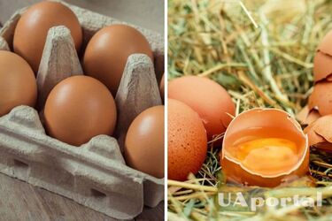 Jak zwiększyć okres trwałości jaj - przydatne wskazówki
