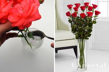 Что добавить в вазу с розами, чтобы цветы стояли дольше