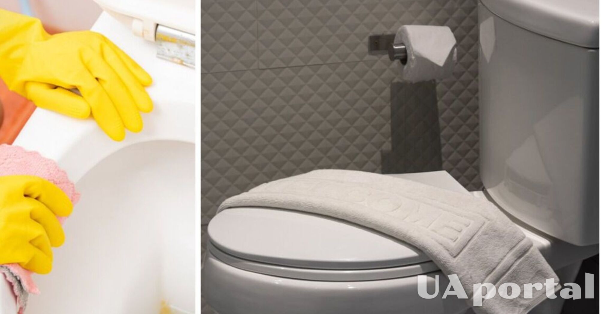 What 4 products will clean the toilet to perfect whiteness: a simple life hack