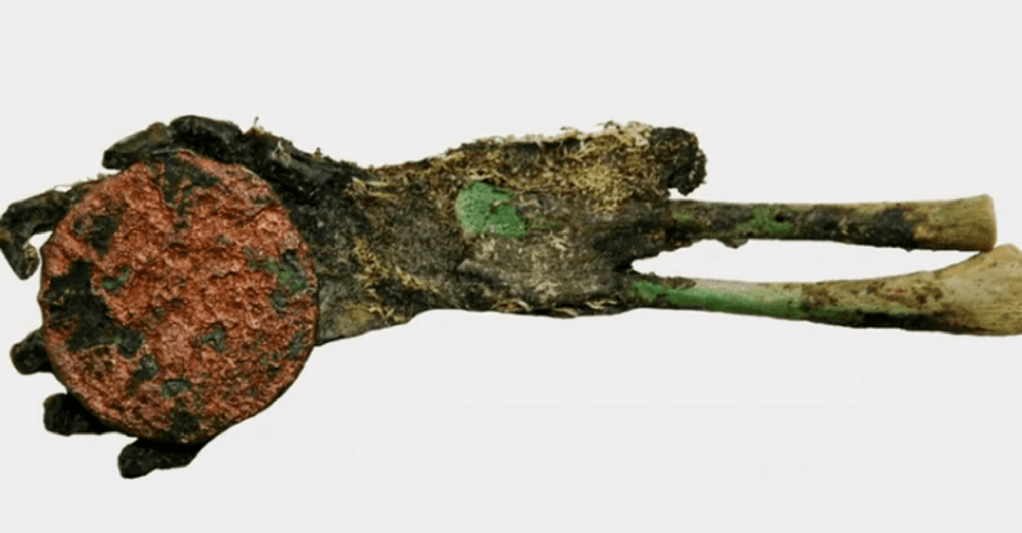 Eerie discovery: Hungarian scientists find a mummified child's hand clutching an ancient coin