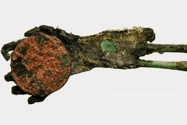 Жуткая находка: венгерские ученые нашли мумифицированную детскую руку, сжимающую древнюю монету
