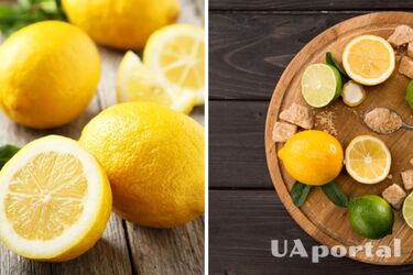 Strengthens immunity and protects against infections: scientists have proven the benefits of daily lemon consumption