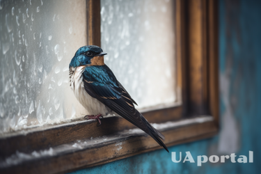 Що означає, коли чешуться долоні і чому підкова приносить удачу: популярні прикмети