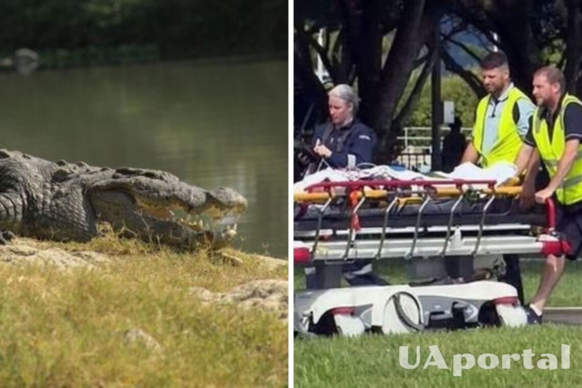 In Australia, a man escaped from a crocodile attack thanks to an 'army trick'