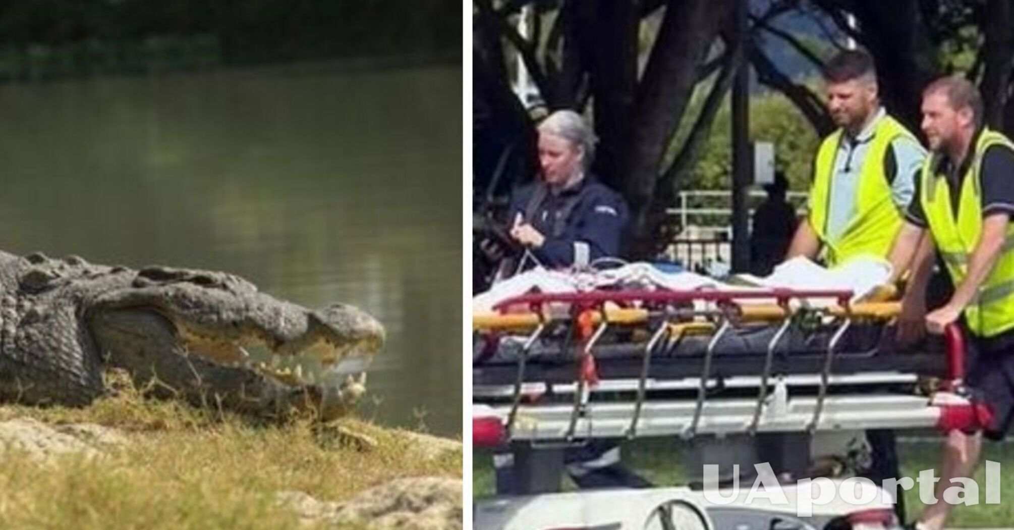 В Австралии мужчина спасся от нападения крокодила благодаря 'армейскому приему'