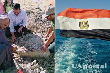 У Єгипті викопали черепаху віком 70 млн років (фото)