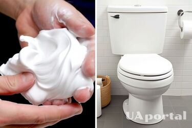Як почистити унітаз піною для гоління