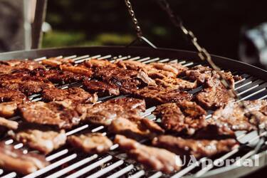Из какого мяса лучше всего готовить шашлык – самое полезное мясо для шашлыка – диетолог Стефани Шифф
