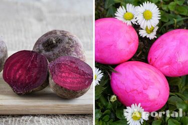 Неймовірний пурпурний колір: як правильно пофарбувати крашанки буряком