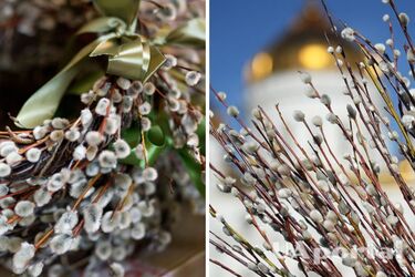 Як освятити гілки верби у церкві та вдома