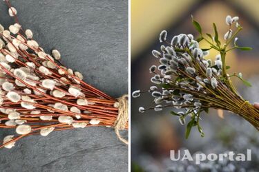 Palm Sunday 2023: How to decorate willow branches in an original way for consecration