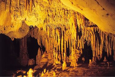 Scientists have found the remains of drugs in the remains of people who lived in the territory of modern Spain 3 thousand years ago