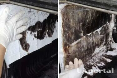 Как очистить духовой шкаф от сильного нагара