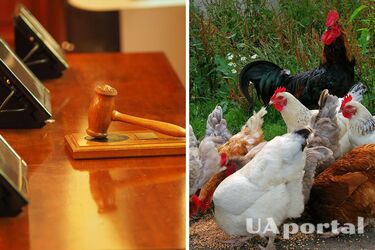 In China, a man was sentenced for scaring more than a thousand chickens to death