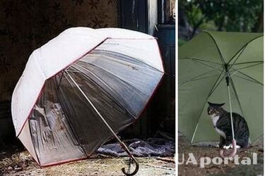 Чому не можна відкривати парасольку будинку