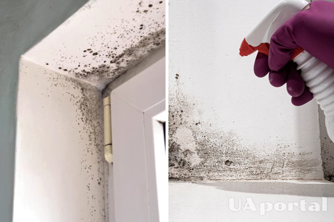 Vinegar and hydrogen peroxide: how to remove mold on plastic windows