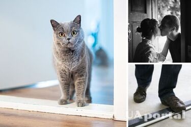 Что нельзя делать перед порогом дома – приметы и предрассудки, которых лучше придерживаться