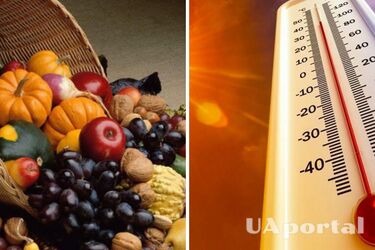 Підживлюйте та мульчуйте: як вберегти врожай від пересихання