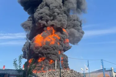 Экстренные службы подняты по тревоге: под Москвой мощный пожар возле ТЭЦ (видео)