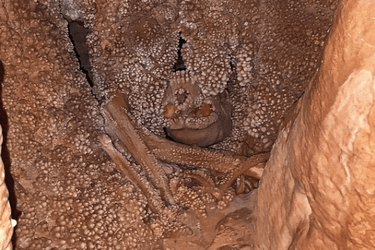 Альтамурська людина: що приховують останки чоловіка, який загинув 100 000 років тому 